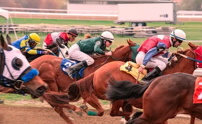 Belmont Stakes