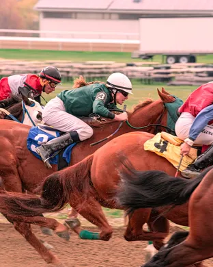Belmont Stakes
